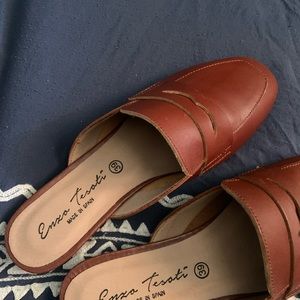 Beautiful brown Spanish mules